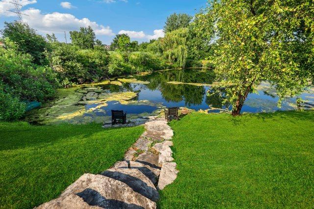 12133 Black Pine Trl, Homer Glen, IL 60491 - view of green lawn with a water view
