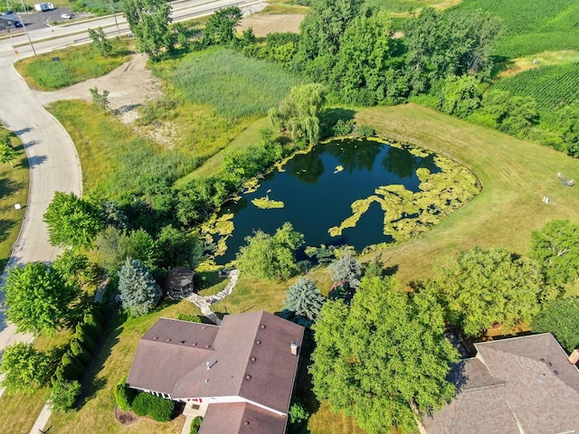 12133 Black Pine Trl, Homer Glen, IL 60491 - aerial view of a nearby body of water