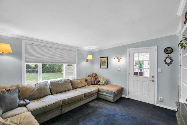 201 E Sherwin Dr, Urbana, IL 61802 - living area featuring plenty of natural light, crown molding, and dark carpet