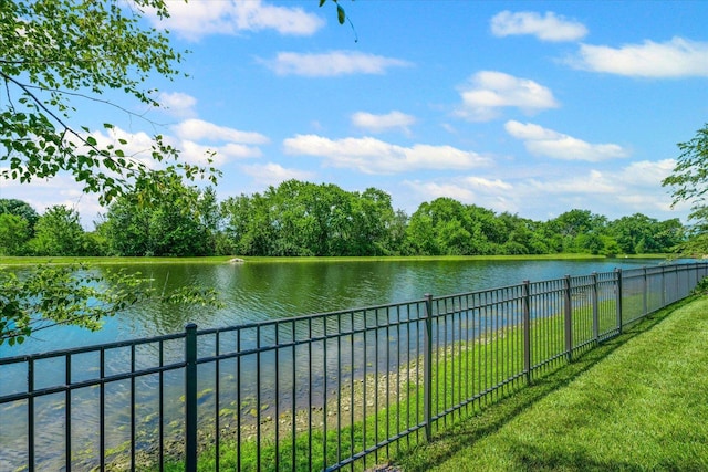 709 Lake Falls Blvd, Savoy, IL 61874 - photo 49