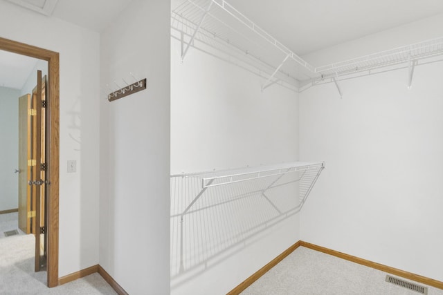 924 Millcreek Cir, Elgin, IL 60123 - walk in closet with carpet floors