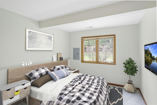 924 Millcreek Cir, Elgin, IL 60123 - carpeted bedroom with electric panel and beam ceiling