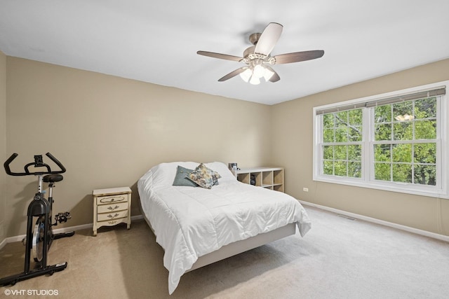2131 Stewart Ln, West Dundee, IL 60118 - photo 11