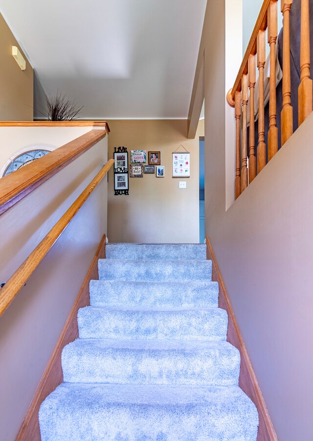 1319 Gilray Dr, Joliet, IL 60431 - photo 18