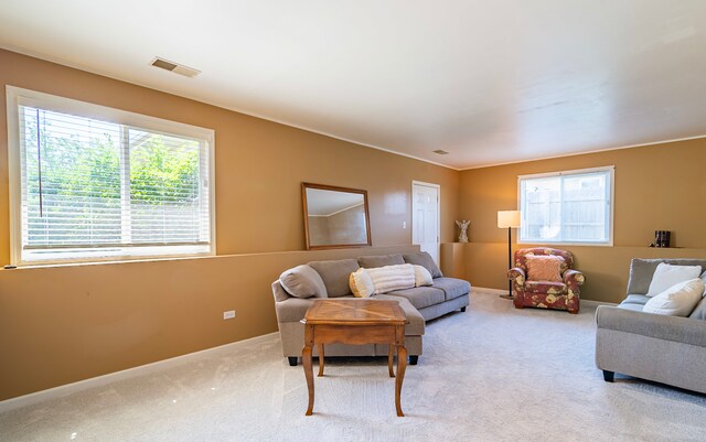 1319 Gilray Dr, Joliet, IL 60431 - photo 19