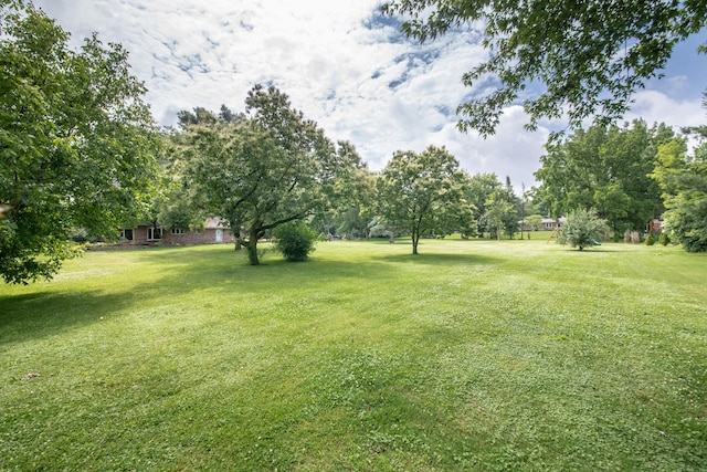 148 Jodi Ln, Bartlett, IL 60103 - photo 5