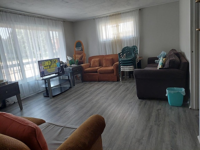 4421 W 87th St, Hometown, IL 60456 - living area featuring wood finished floors and plenty of natural light