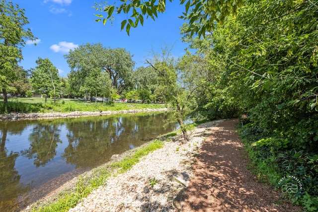 482 River Front Cir, Naperville, IL 60540 - water view