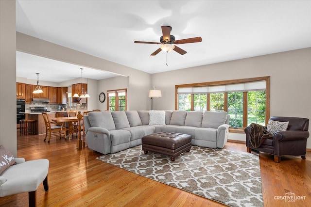 10660 Great Egret Dr, Orland Park, IL 60467 - living room featuring light wood-style flooring, ceiling fan, and a chandelier