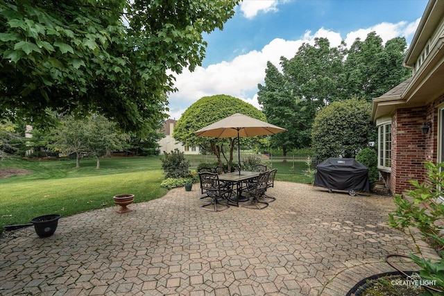 10660 Great Egret Dr, Orland Park, IL 60467 - view of patio / terrace with area for grilling