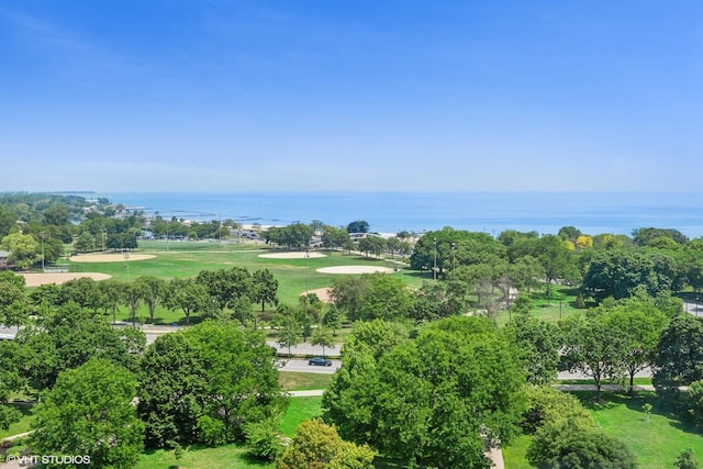1550 N State Pkwy Unit 801, Chicago, IL 60610 - drone / aerial view of a nearby body of water
