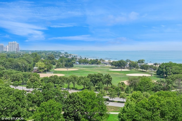 1550 N State Pkwy Unit 801, Chicago, IL 60610 - bird's eye view of a nearby body of water