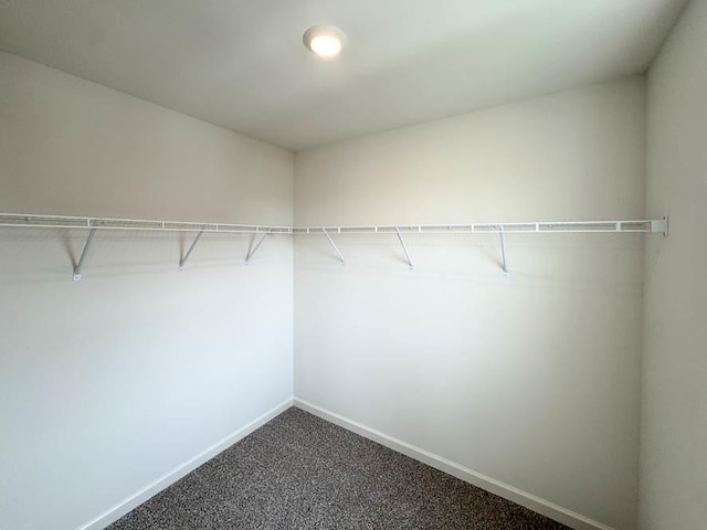 1100 58th Rd Unit 0020, Union Grove, WI 53182 - walk in closet with dark carpet