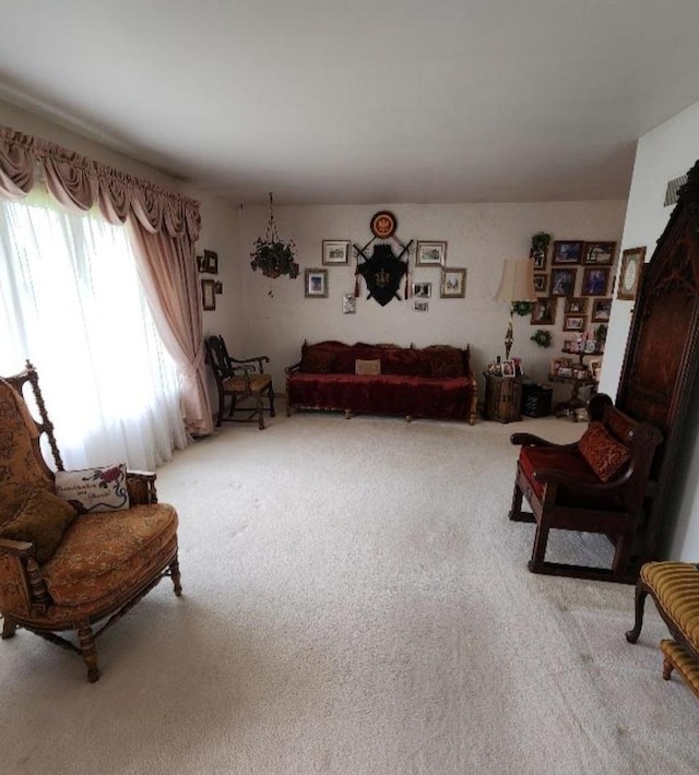 17227 70th Ave, Tinley Park, IL 60477 - sitting room with carpet flooring