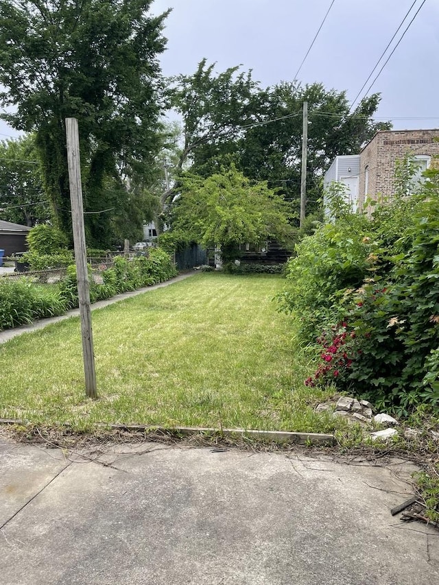 7240 S Lafayette Ave, Chicago, IL 60621 - view of green lawn