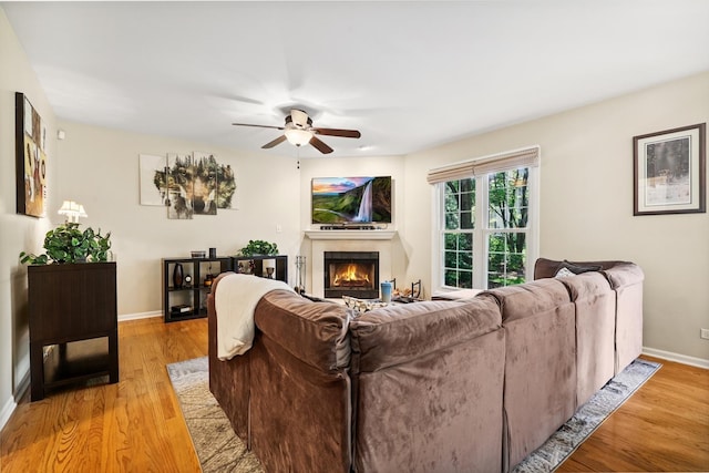 2330 Worthing Dr, Naperville, IL 60565 - living room with a ceiling fan, a lit fireplace, and light wood-style floors