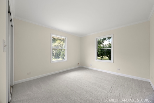 532 E Hawthorne Blvd, Wheaton, IL 60187 - unfurnished room featuring carpet and crown molding