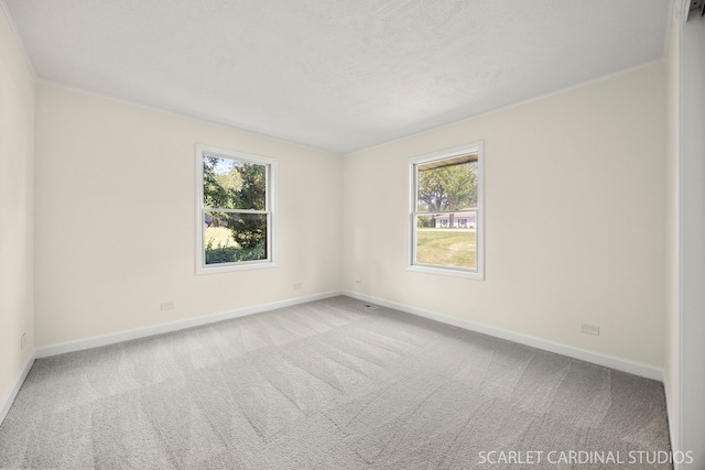 532 E Hawthorne Blvd, Wheaton, IL 60187 - empty room with carpet floors
