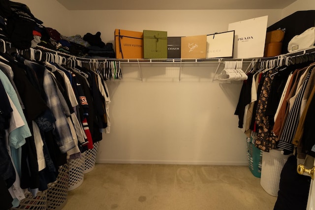 131 Glenbrook Cir, Gilberts, IL 60136 - spacious closet with carpet