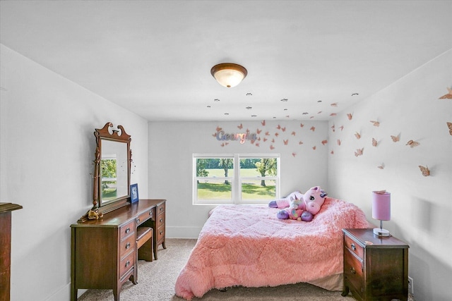 16886 State Route 9th Rd, Hoopeston, IL 60942 - photo 48