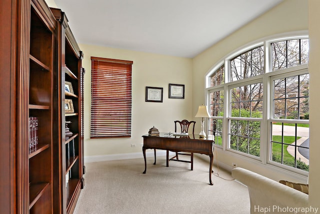 4 Shadow Creek Ct, Lake In The Hills, IL 60156 - office area featuring carpet floors and plenty of natural light