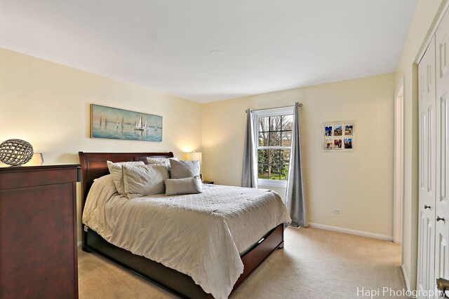 4 Shadow Creek Ct, Lake In The Hills, IL 60156 - bedroom with light colored carpet and a closet