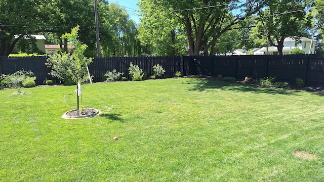 306 N Joy St, Tampico, IL 61283 - view of fenced backyard