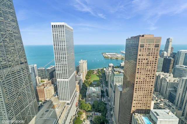 800 N Michigan Ave Unit 63Ph, Chicago, IL 60611 - photo 5