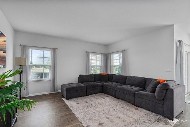 3385 Pecos Cir, Montgomery, IL 60538 - living room featuring healthy amount of natural light and wood finished floors