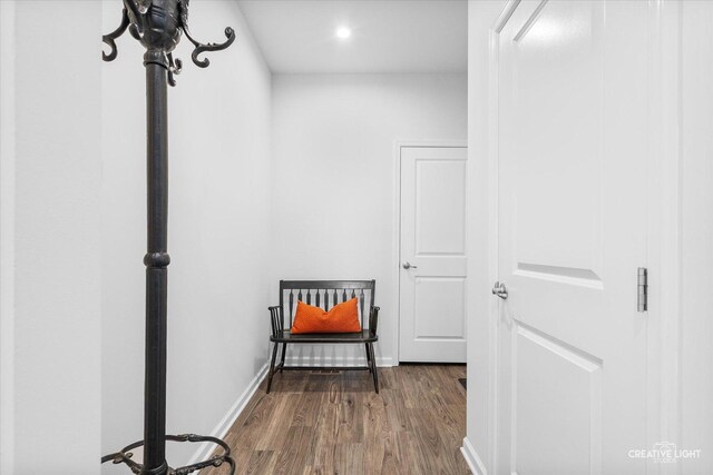 3385 Pecos Cir, Montgomery, IL 60538 - corridor featuring wood finished floors and recessed lighting
