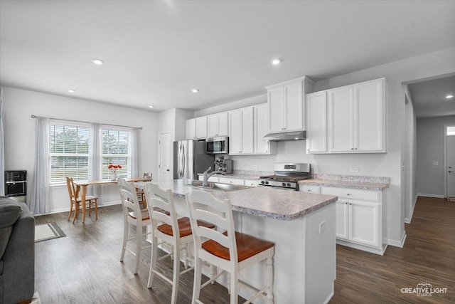 3385 Pecos Cir, Montgomery, IL 60538 - kitchen featuring stainless steel appliances, under cabinet range hood, dark wood-type flooring, light countertops, and recessed lighting