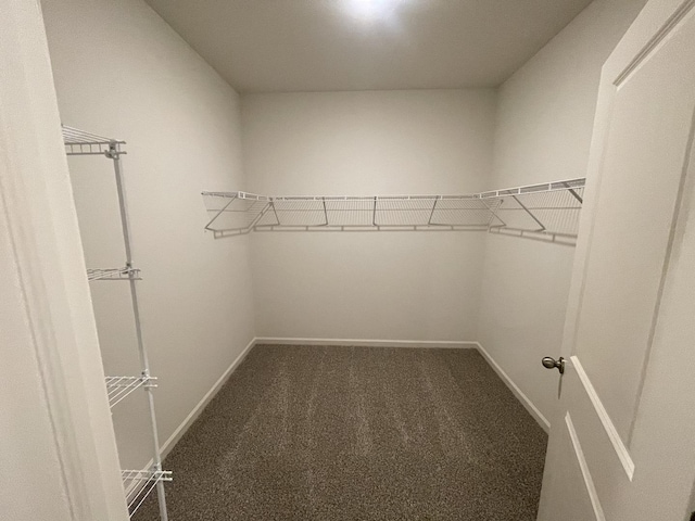 2522 Redwood Trl, Wonder Lake, IL 60097 - walk in closet with carpet floors