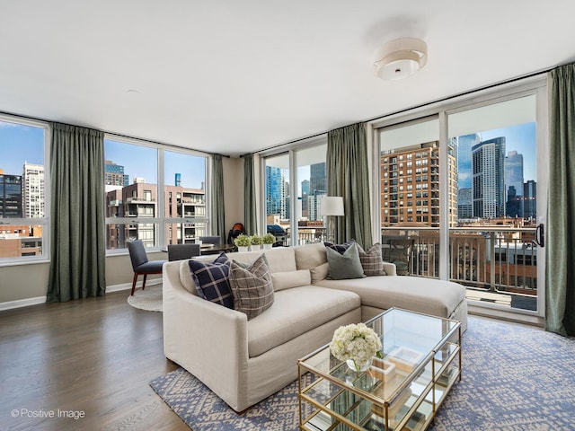 421 W Huron St Unit 1005, Chicago, IL 60654 - living room with a skyline view and wood finished floors