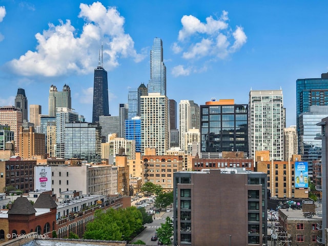 421 W Huron St Unit 1005, Chicago, IL 60654 - skyline view