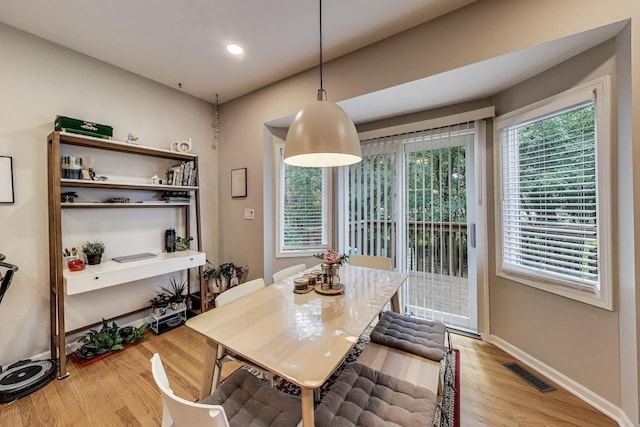 1604 Park Point, Ridge Point, Park Ridge, IL 60068 - dining space featuring light wood finished floors and baseboards