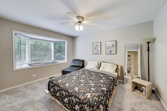 1604 Park Point, Ridge Point, Park Ridge, IL 60068 - bedroom with carpet flooring and ceiling fan