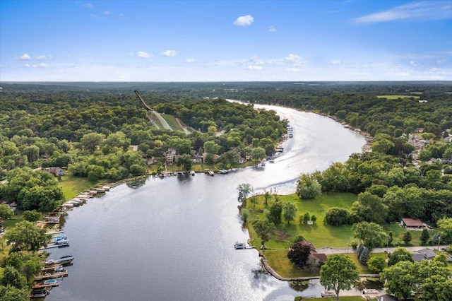23463 N Meadow Ln, Barrington, IL 60010 - aerial view of a forest and a nearby body of water