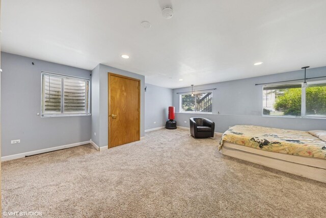 1228 Le Moyne Ave, Romeoville, IL 60446 - photo 20