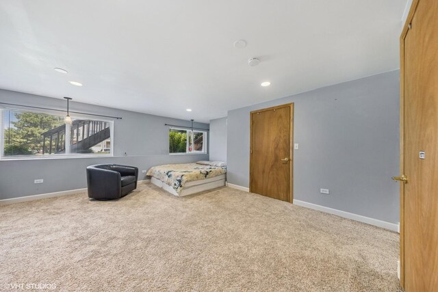1228 Le Moyne Ave, Romeoville, IL 60446 - photo 21