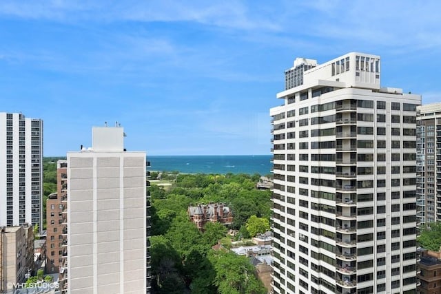 1440 N State Pkwy Unit 21C, Chicago, IL 60610 - water view featuring nearby urban area