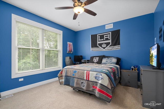 9N660 Whispering Springs Ln, Elgin, IL 60124 - photo 19