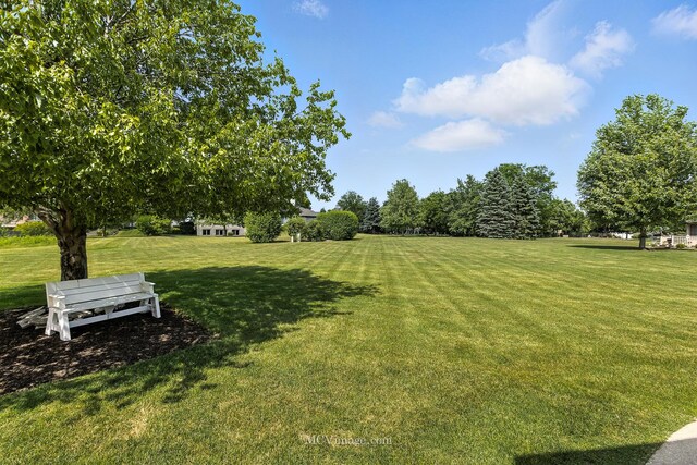 13341 Fox Hill Dr, Lemont, IL 60439 - photo 7