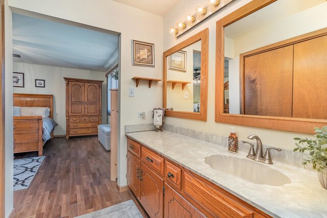 8712 Carriage Ln, Tinley Park, IL 60487 - ensuite bathroom with wood finished floors and vanity