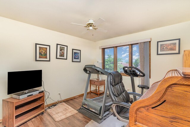 8712 Carriage Ln, Tinley Park, IL 60487 - exercise area with ceiling fan and wood finished floors