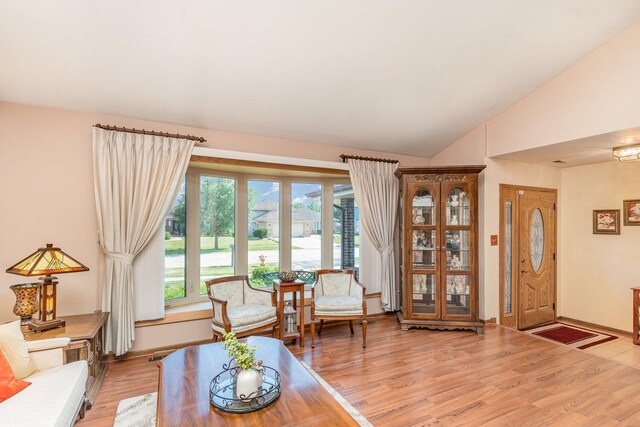 8712 Carriage Ln, Tinley Park, IL 60487 - living room with lofted ceiling and light wood finished floors