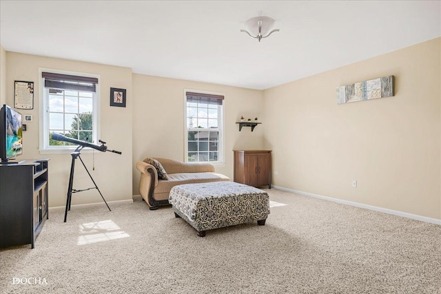 5124 Christa Dr, Naperville, IL 60564 - photo 10