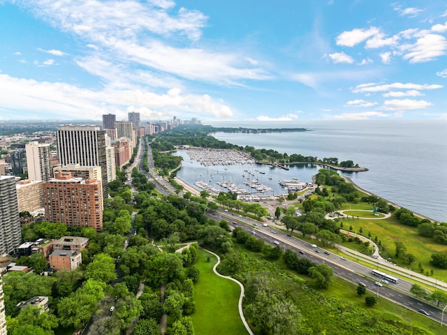2909 N Sheridan Rd Unit 1601, Chicago, IL 60657 - view of urban area with a large body of water and numerous boat docks