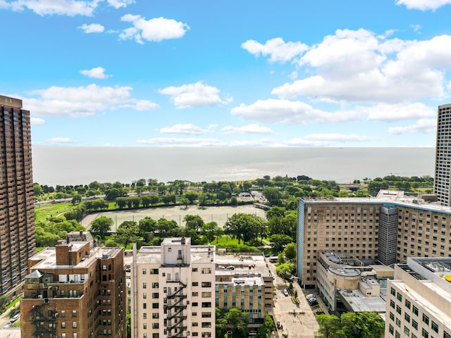 2909 N Sheridan Rd Unit 1601, Chicago, IL 60657 - view of city