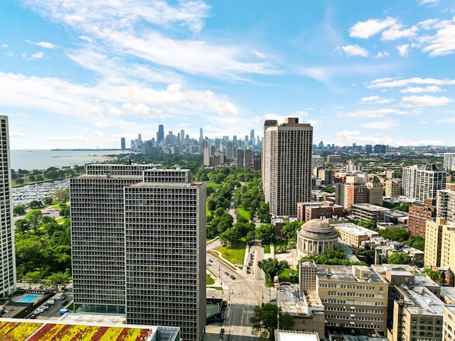 2909 N Sheridan Rd Unit 1601, Chicago, IL 60657 - view of city skyline with a large body of water
