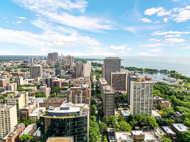 2909 N Sheridan Rd Unit 1601, Chicago, IL 60657 - view of urban area featuring a nearby body of water